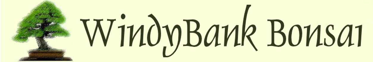 Windybank logo